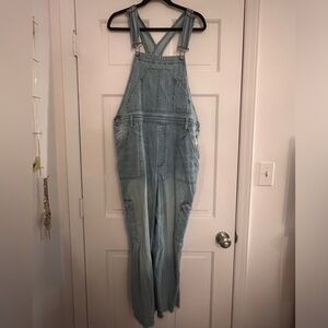 Anthropologie Pilcro Denim Overalls
